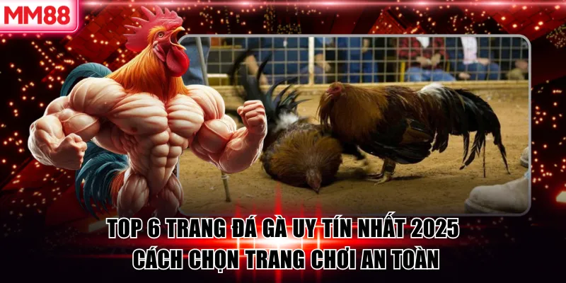 Top 6 Trang Đá Gà Uy Tín 2026 – Chọn Trang Cược An Toàn Cùng MM88 5 Top 6 Trang Đá Gà Uy Tín Nhất 2025 – Cách Chọn Trang Chơi An Toàn